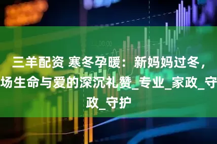 三羊配资 寒冬孕暖：新妈妈过冬，一场生命与爱的深沉礼赞_专业_家政_守护
