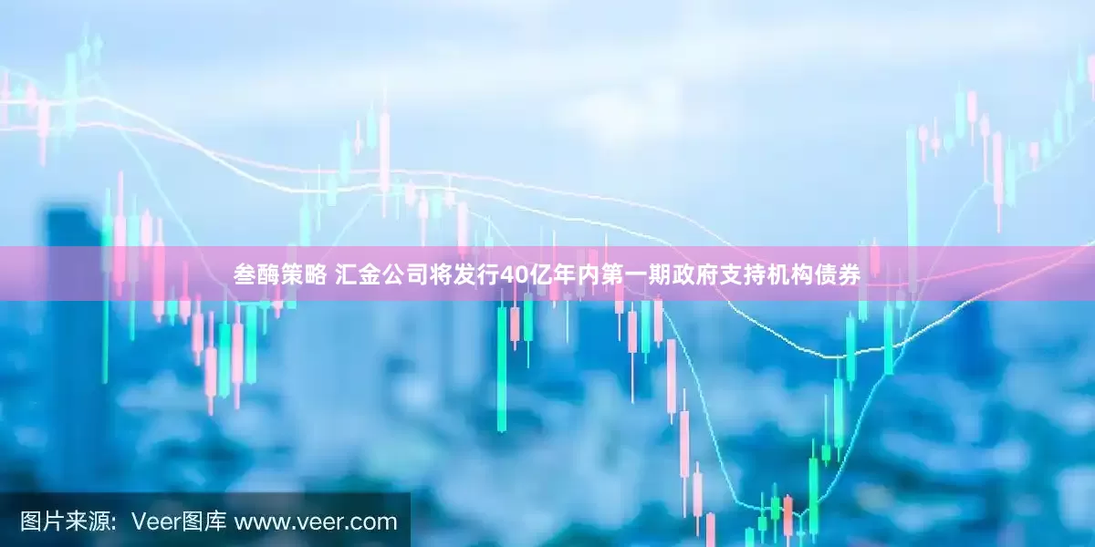 叁酶策略 汇金公司将发行40亿年内第一期政府支持机构债券
